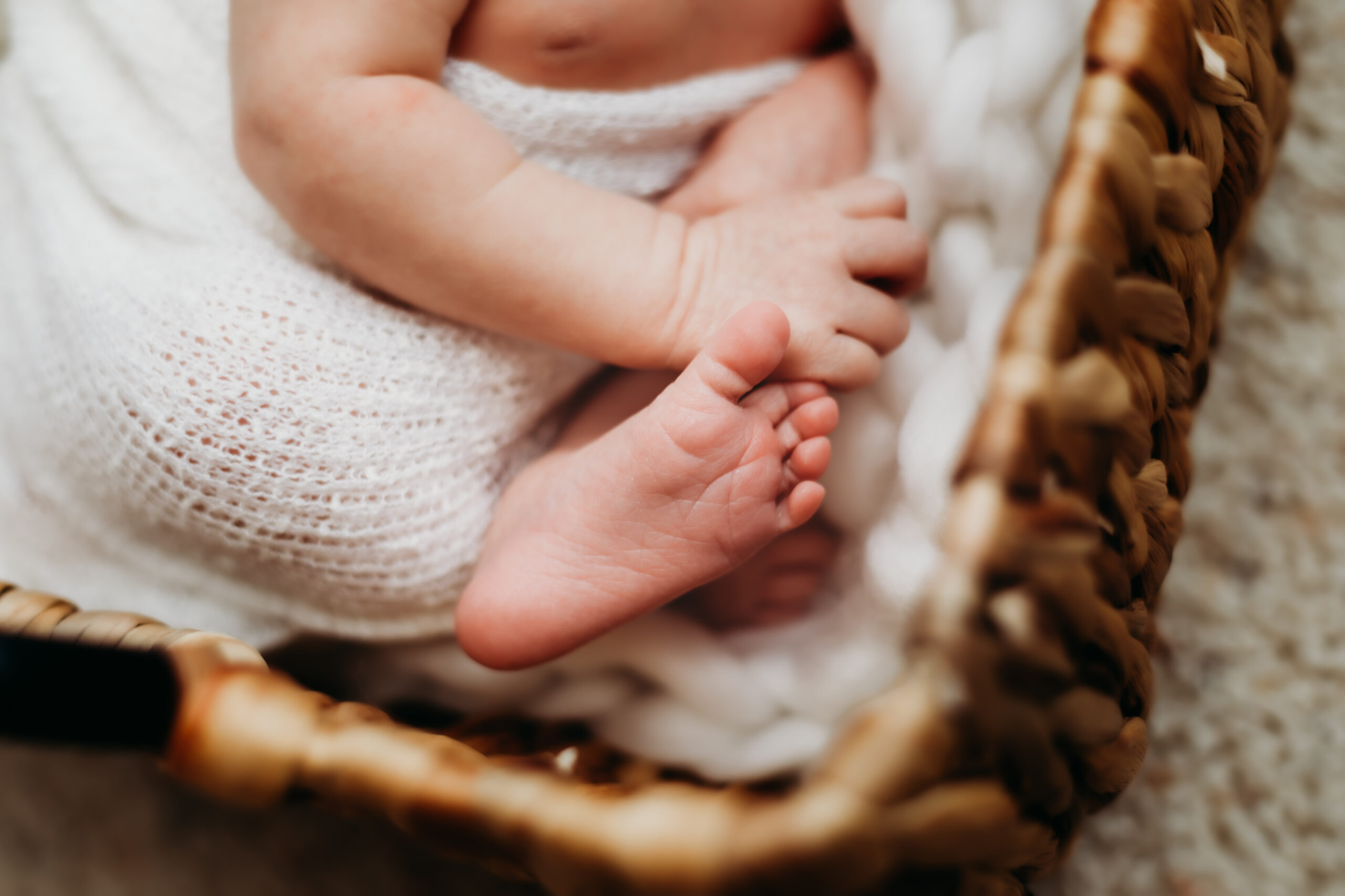 Closeup of newborn baby toes and fingers while sleeping in basket.